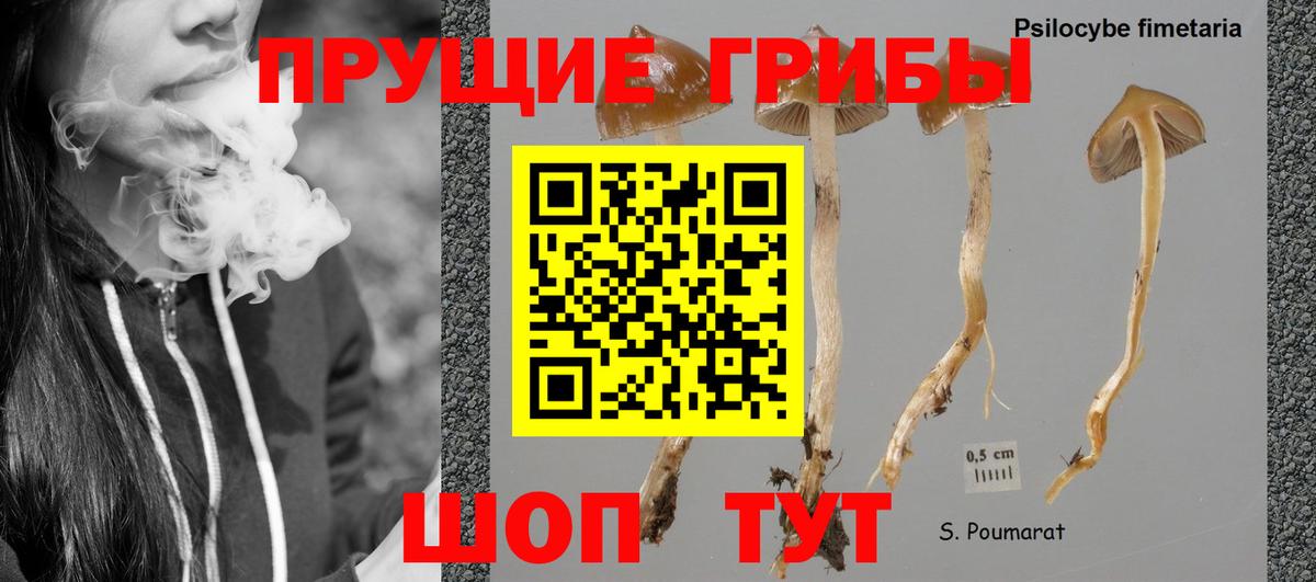 Краснодар  Псилоцибиновые грибы мухоморы  Вход с VPN 